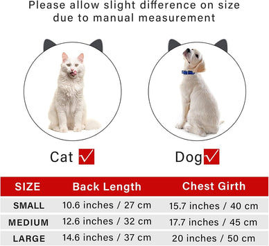 Transform Holiday Moments into Lasting Memories